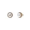 25611 SMALL GOLD PEARL STUDS