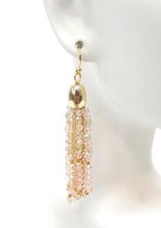 NE4004 BEADED/CRYSTAL EARRING