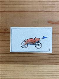 Cycling Bear