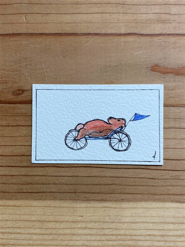 Cycling Bear