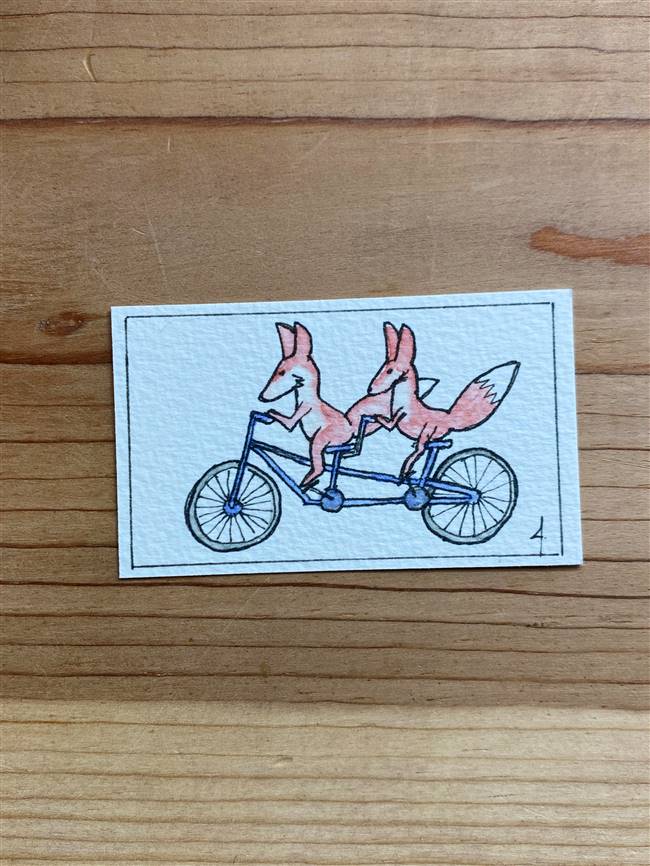 Cycling Foxes