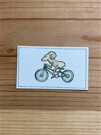 Cycling Ram