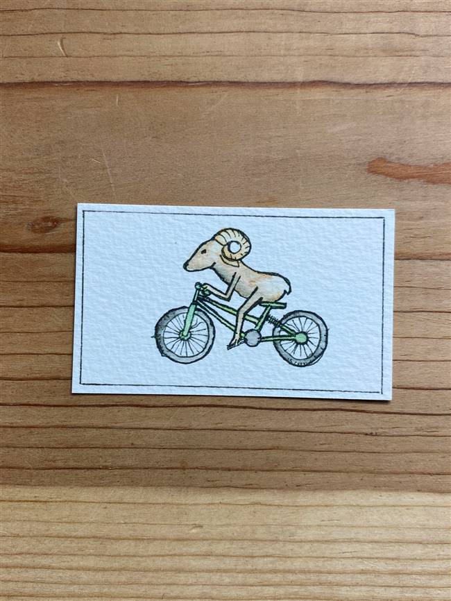 Cycling Ram