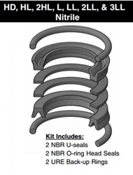 PK102HLL01, PISTON SEAL KIT, 1", NITRILE