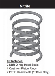 PR102H0001, PISTON RING KIT, 1" BORE, NITRILE