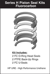 VH00LH025, PISTON SEAL KIT, 2-1/2" BORE, FLUOROCARBON (VITON)