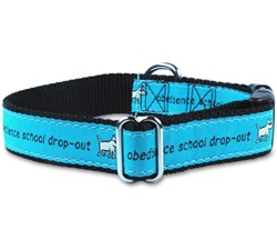 Obedience School Drop Out Collar.
