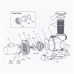 Parts For QuietFlo Plus Pump