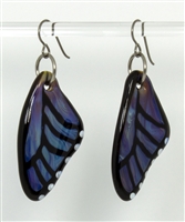 Azure Butterfly Wing Earrings