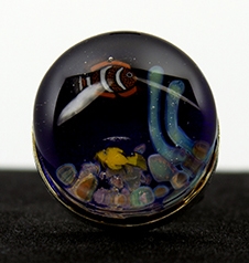 Aquarium Silver Ring