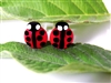 Ladybug Plugs