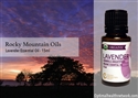 Lavender Essential Oil