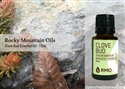 Clove Bud Essential Oil - 15 ml