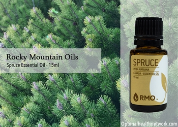 Spruce Essential Oil - 15 ml