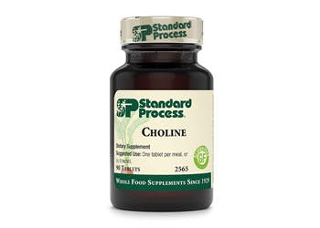 Standard Process Choline - 90 capsules