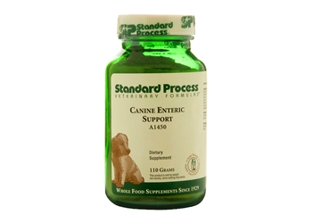 Standard Process Canine Enteric Support - 110 grams