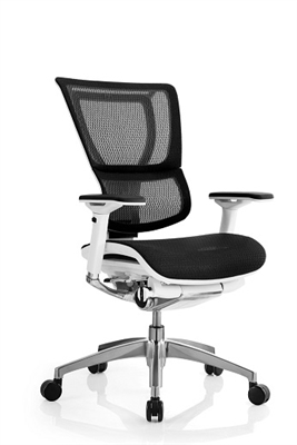 Executive Mesh Chair