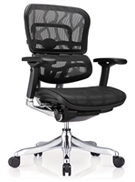 Mesh Office Chairs