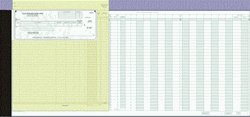 <SPAN style="COLOR: #009900">Expense/Ledger System with Non-Personalized Duplicate</SPAN>