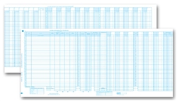 Accounts Payable Disbursement Journal