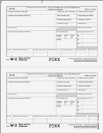 W-2  [D/1] Employer Copy D or Copy 1 - Laser Forms