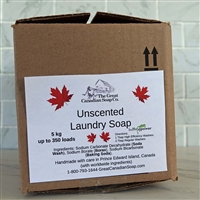 Laundry Soap Unscented Powder in CARDBOARD BOX - 5 kg (11 lbs)