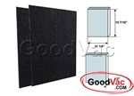 GoodVac Replacement Sharp Carbon Filters FZ-A80DFU