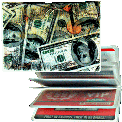 Lenticular credit card ID holder with United States USA money, dollars and coins, flip