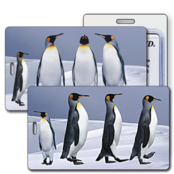 Lenticular luggage tag with penguins dancing in the Antarctic snow, flip