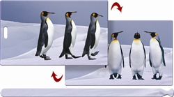 Lenticular Luggage Tag Mailer with 3D Penguin in Arctic Dancing