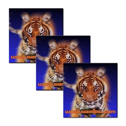 3D Lenticular Flexible Rubber Magnet African tiger from a safari growls in an intimidating way, animation
