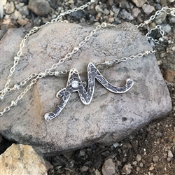 Signature Initial Necklace - AM