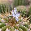 Cactus Ring