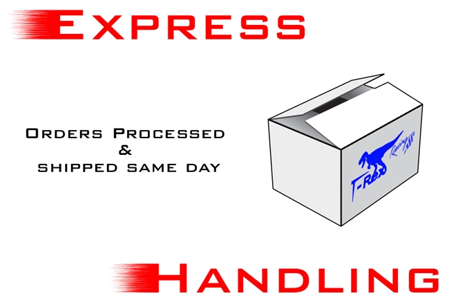 T-Rex Racing Express Handling