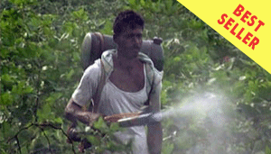 FILM: India: 100% Cotton