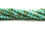 3MM Round Fire Polish / Green Turquoise Celsian