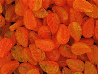 Czech Glass Leaves / 15MM Orange