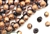 Bead, Mushroom Button, Czech Beads, 7MM X 7MM, Etched Black Copper