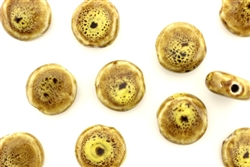 Mustard Yellow Earth Tone Porcelain Beads / Small Coin