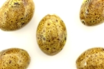 Mustard Yellow Earth Tone Porcelain Beads / Large Egg