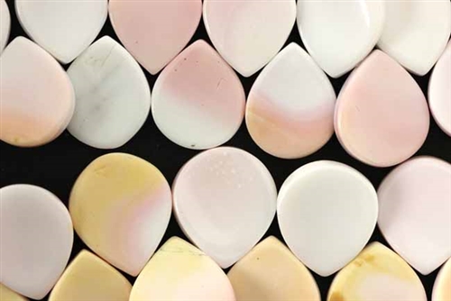 Gemstone Bead, Conch Shell, Flat Drop, 17MM