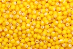 Seed Bead, 7/0, Vintage, Czechoslovakian, Yellow, White Heart