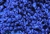 Sequin, 6MM, Cupped, Round, Vintage, 1MM Center Hole, Royal Blue