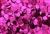 Sequin, 6MM, Round, Vintage, No Hole, Fuchsia