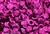 Sequin, 10MM, Round, Cupped, Vintage, 1.5MM Center Hole, Fuchsia