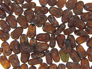 Czech Tulip Beads / 8MM Brown Picasso