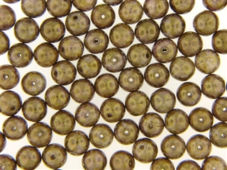 Czech Picasso Finish Beads / Round 8MM Brown Gold