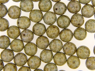 Czech Picasso Finish Beads / Round 10MM Brown Green Gold