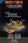 Flames of War - GE788 Escort Platoon (Plastic)