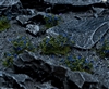 Gamer's Grass - Blue Flowers Tufts